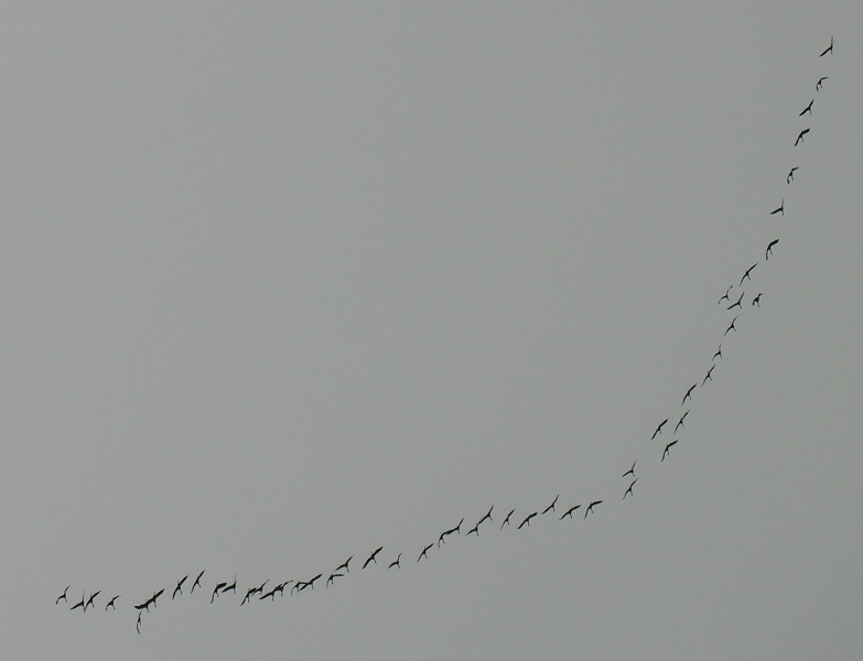 Formazione aerea